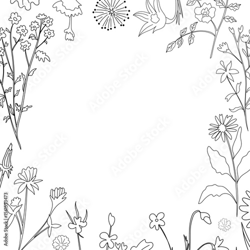 Medicinal plants frame in doodle style in vector