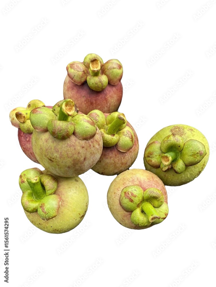 Mangosteen is Thailand’s national fruit, known as the Queen of Fruits. It has a sweet and slightly sour taste. Fresh tropical fruit on white background. Mangosteen is Thailand’s national fruit, known as the Queen of Fruits. It has a sweet and slightly sour taste. Fresh tropical fruit on white background.