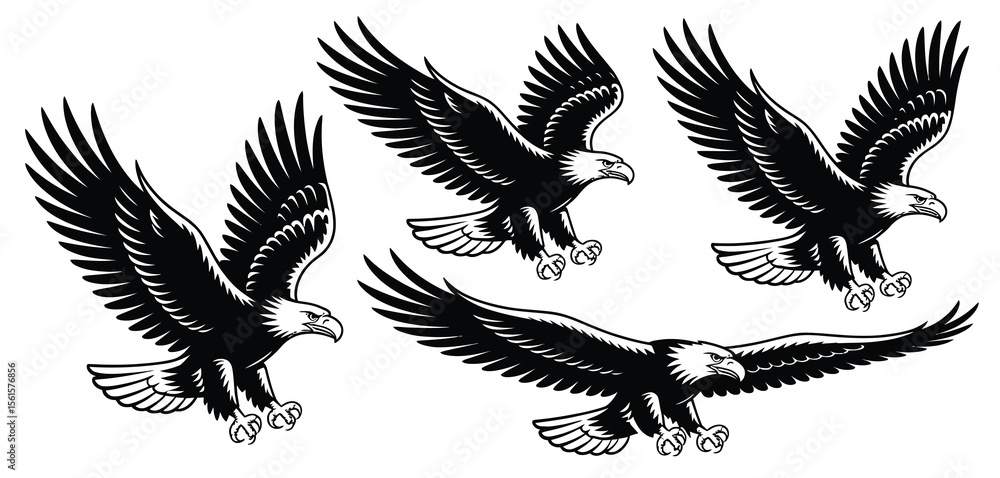 Obraz premium Three Black and White Flying Bald Eagles