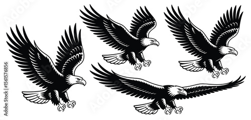 Three Black and White Flying Bald Eagles