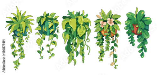 Collection of Hanging Plants in Pots