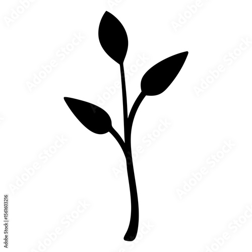 Silhouette of a slender stem with three leaves on a white background