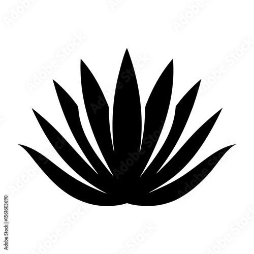 Striking black silhouette of an agave plant against a crisp white backdrop