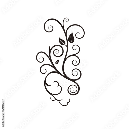 Elegant black floral vine with leaves and swirling tendrils on white background