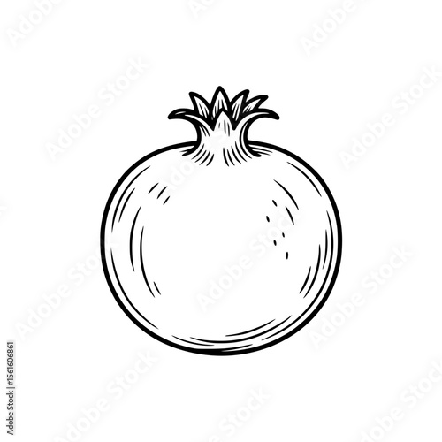 Line art illustration of a pomegranate fruit