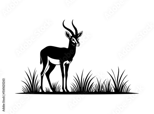 A striking, black and white silhouette of a gazelle, likely a springbok, is featured.