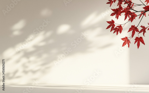 Red maple leaves against a white wall with soft shadows in the background