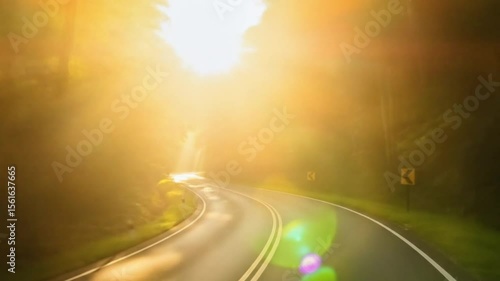 Empty countryside road glowing with bright sunlight through morning forest. Nature concept