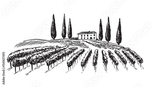 Vineyard landscape with building on the hill hand drawn
