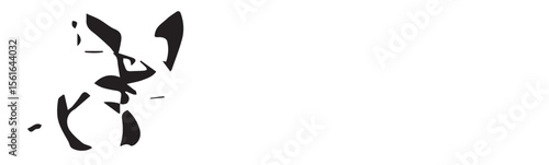 A completely white background showing nothing at all in the image, just a plain white canvas for use
