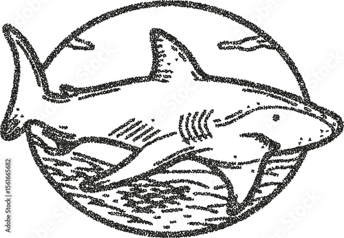 Shark swimming in ocean, circular stipple illustration wild marine animal, detailed aquatic wildlife drawing