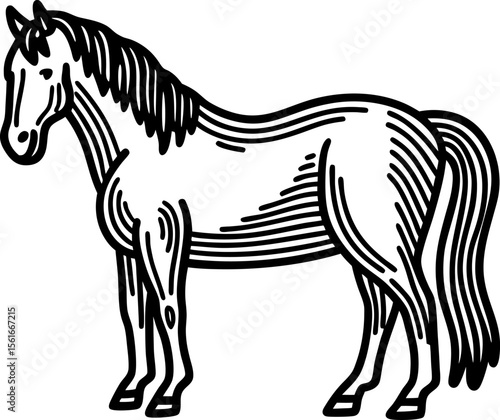 Hand drawn horse illustration black and white line art of standing animal with long mane and tail, elegant sketch