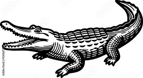 Alligator illustration, black and white reptile with open mouth and detailed scales wild animal graphic design