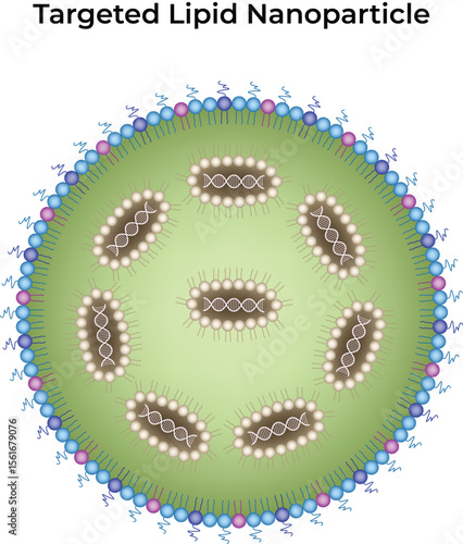 Targeted Lipid Nanoparticle Design Vector Illustration