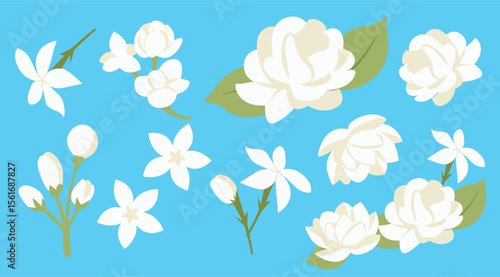 Jasmine Flower Vector Set on Blue Background
