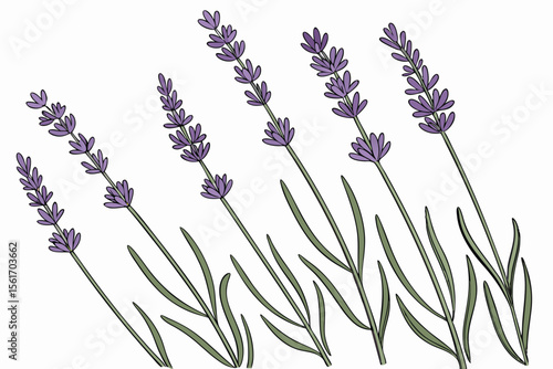 Abstract pattern of neatly aligned purple and lavender lines
