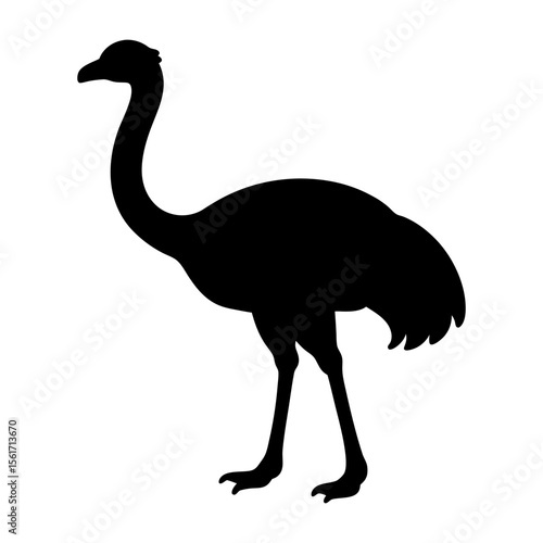 Ostrich silhouette vector, a black animal vector art design, and a silhouette of an ostrich isolated on a white background