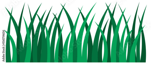 Grass. Stems tilted in different directions. Tall green weeds. Vector illustration. Isolated white background. Flat style. Vigorous vegetation. Web design idea.