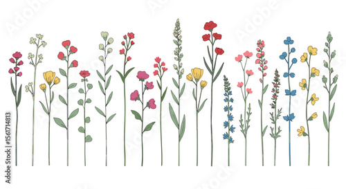 A vibrant and diverse collection of wildflowers blooming under a bright summer sky celebrating the beauty of nature's floral artistry