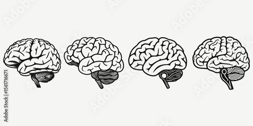 brain side view sketch illustration vector