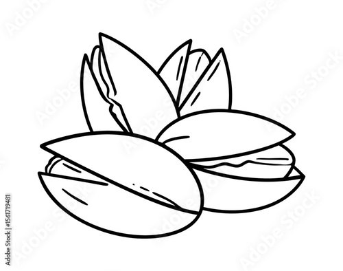 Pistacje rysunek