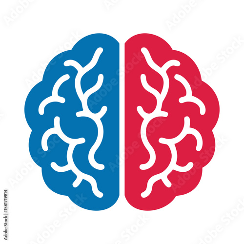 Blue Red Left Right Human Brain