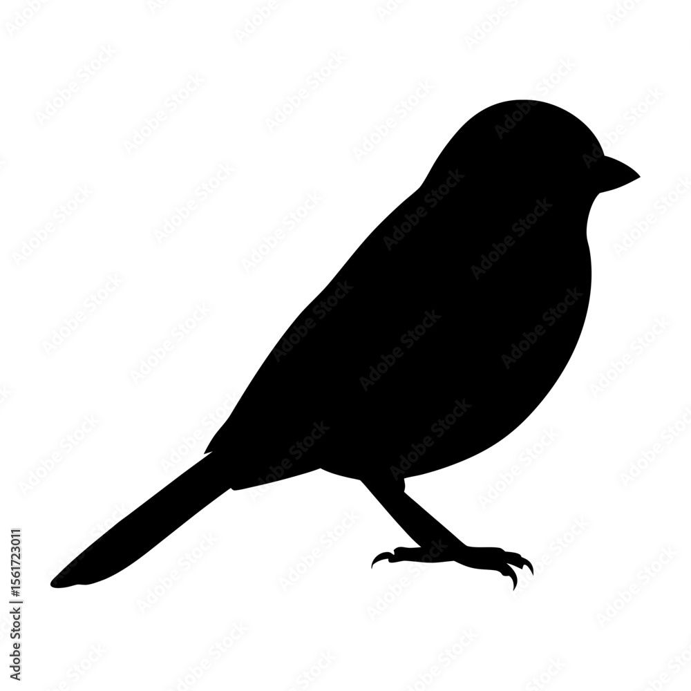 Obraz premium Bird standing vector art, a bird silhouette, a black cute bird icon silhouette, a vector of a bird isolated