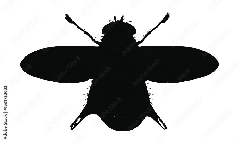 Fototapeta premium Vector illustration of a flying insect silhouette, a cartoon butterfly design with elegant wings.