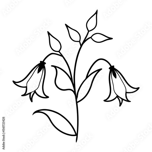 Canterbury bells silhouette vector, black floral outline vector art design, and a silhouette of a Canterbury bells flower isolated on a white background