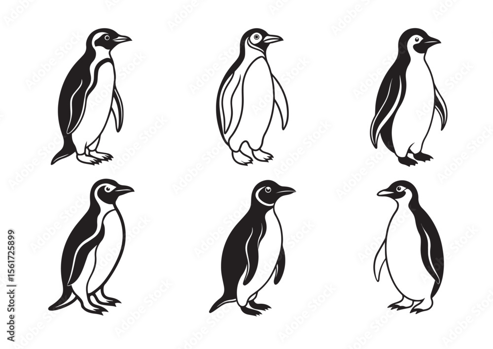 Obraz premium Penguin Silhouette, Penguin Vector Set
