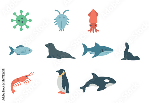 Ocean Food Chain Icons. Flat icon set of ocean food chain icons: phytoplankton, zooplankton, small fish, squid