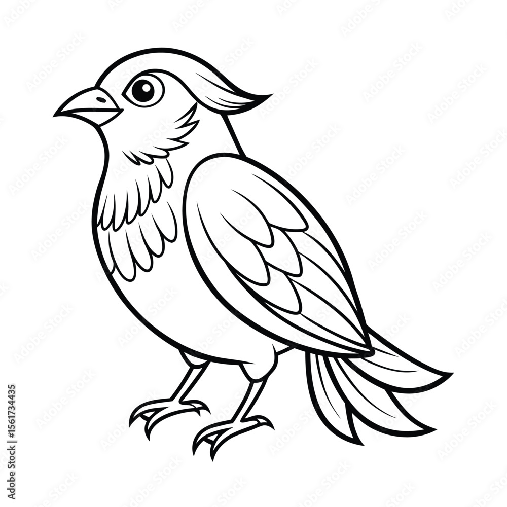 Kids' Bird Coloring Page on a White Background Kids' Bird Coloring Page on a White Background