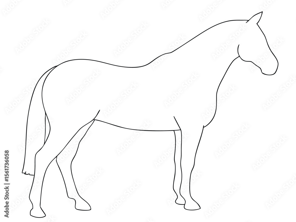 Line art illustration of a standing horse outline in profile view against white background. Line art illustration of a standing horse outline in profile view against white background.