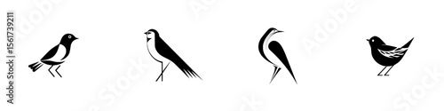 Silhouette pictograms of various birds in a minimalist design suitable for educational purposes and graphic presentations