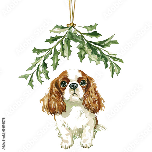Cavalier King Charles Spaniel dog under mistletoe decoration  