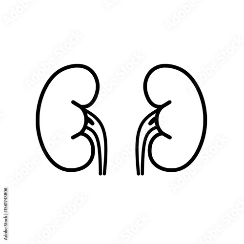 Kidney Diagram: A clear and informative illustration of the human kidney, perfect for medical education and health-related content.