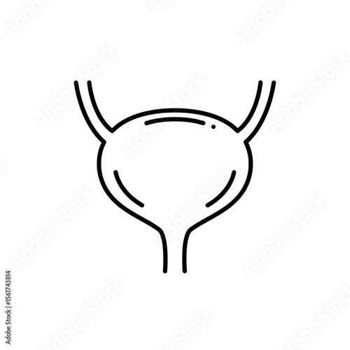 Urinary Bladder Icon: Simple line drawing of a human urinary bladder, suitable for medical, anatomical, or educational purposes.