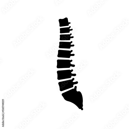 Spine Silhouette: A stark and elegant silhouette of the human spine, a symbol of health, strength, and the body's intricate framework.