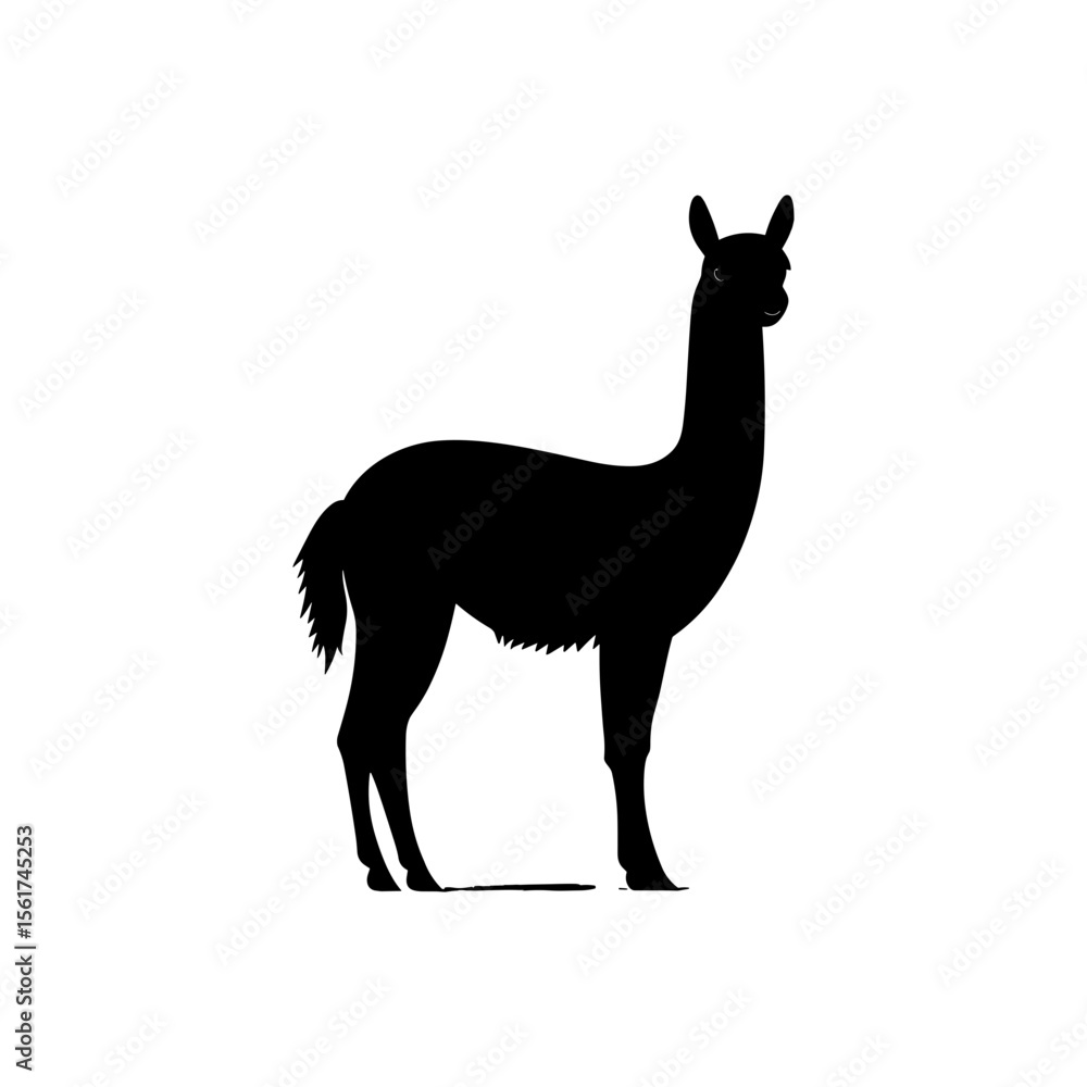 Obraz premium Alpaca Vector Silhoette
