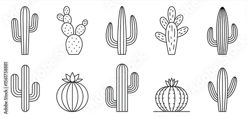 Collection of Black Line Art Cactus Illustrations