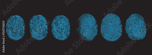Detailed blue fingerprint scan vector elements. Biometric identification icons for digital privacy, forensic analysis, and security background.
