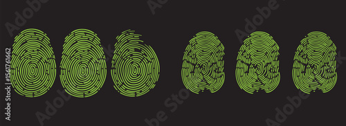 Green fingerprint scan vector icons set. Biometric identification pattern design for digital security, privacy, and forensic access analysis.
