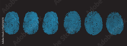 Blue fingerprint pattern set vector illustration. Unique biometric identity scan concept on dark background. Security forensic technology art.
