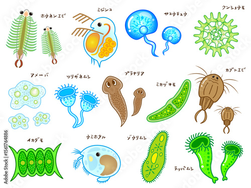 かわいい微生物とプランクトンのイラスト素材セット2