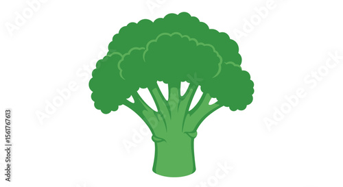 Green Broccoli Florets Vector Illustration