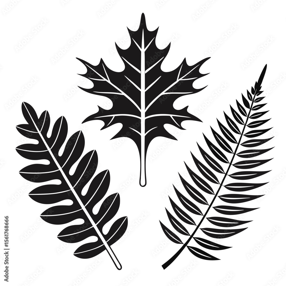 Fototapeta premium Leaf Silhouettes of Oak and Fern Plants