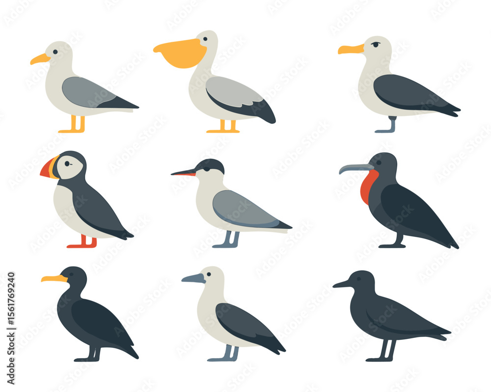 Obraz premium Sea Bird Icons. Flat icon set of sea bird species: seagull, pelican, albatross, puffin, tern, frigatebird,