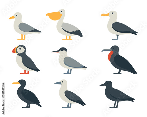 Sea Bird Icons. Flat icon set of sea bird species: seagull, pelican, albatross, puffin, tern, frigatebird,
