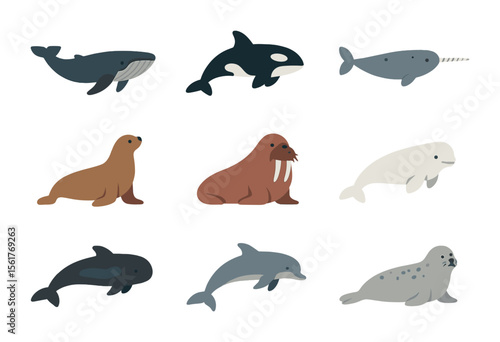 Marine Mammal Icons. Flat icon set of marine mammal diversity: humpback whale, orca, narwhal, sea lion, walrus