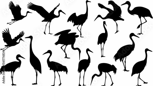 Silhouette collection of various cranes in different poses such as standing and flying in black color